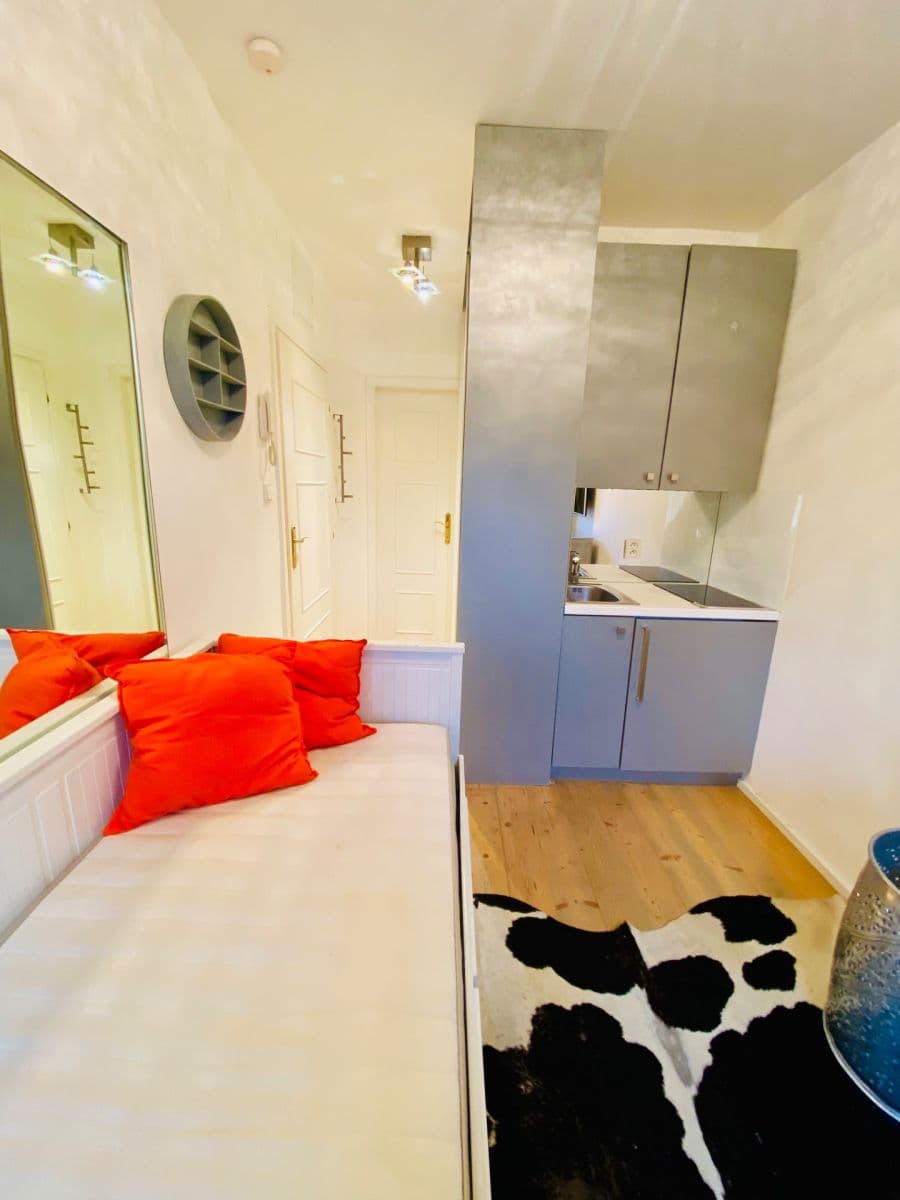 Prenájom bytu 1-izbový 13 m², U Pernikářky, Praha, Praha Prenájom bytu 1-izbový 13 m², U Pernikářky, Praha, Praha