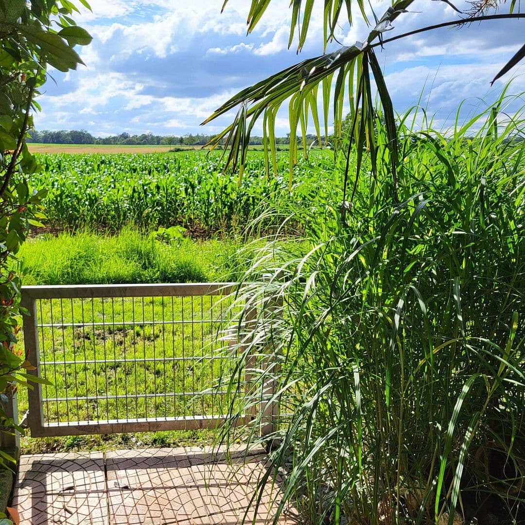 Predaj bytu 3-izbový 93 m², Untergruppenbach, Bádensko-Wurttembersko Predaj bytu 3-izbový 93 m², Untergruppenbach, Bádensko-Wurttembersko