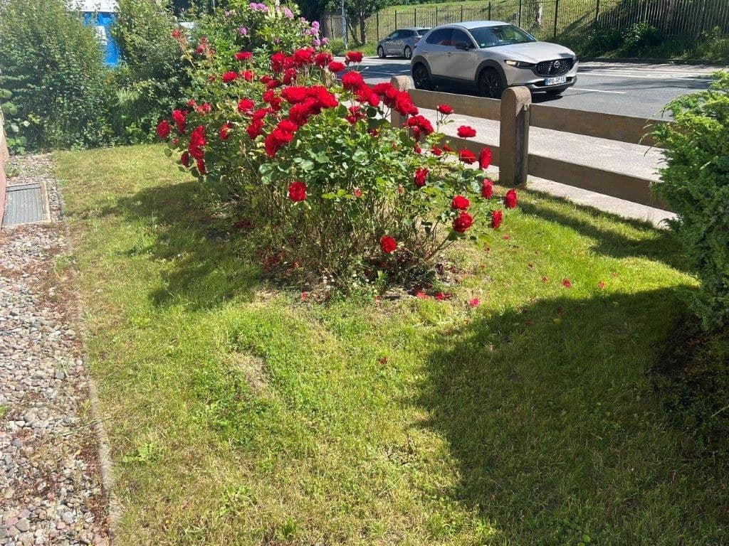 Predaj domu 135 m², pozemek 887 m², Rostock, Meklenbursko-Predpomoransko Predaj domu 135 m², pozemek 887 m², Rostock, Meklenbursko-Predpomoransko