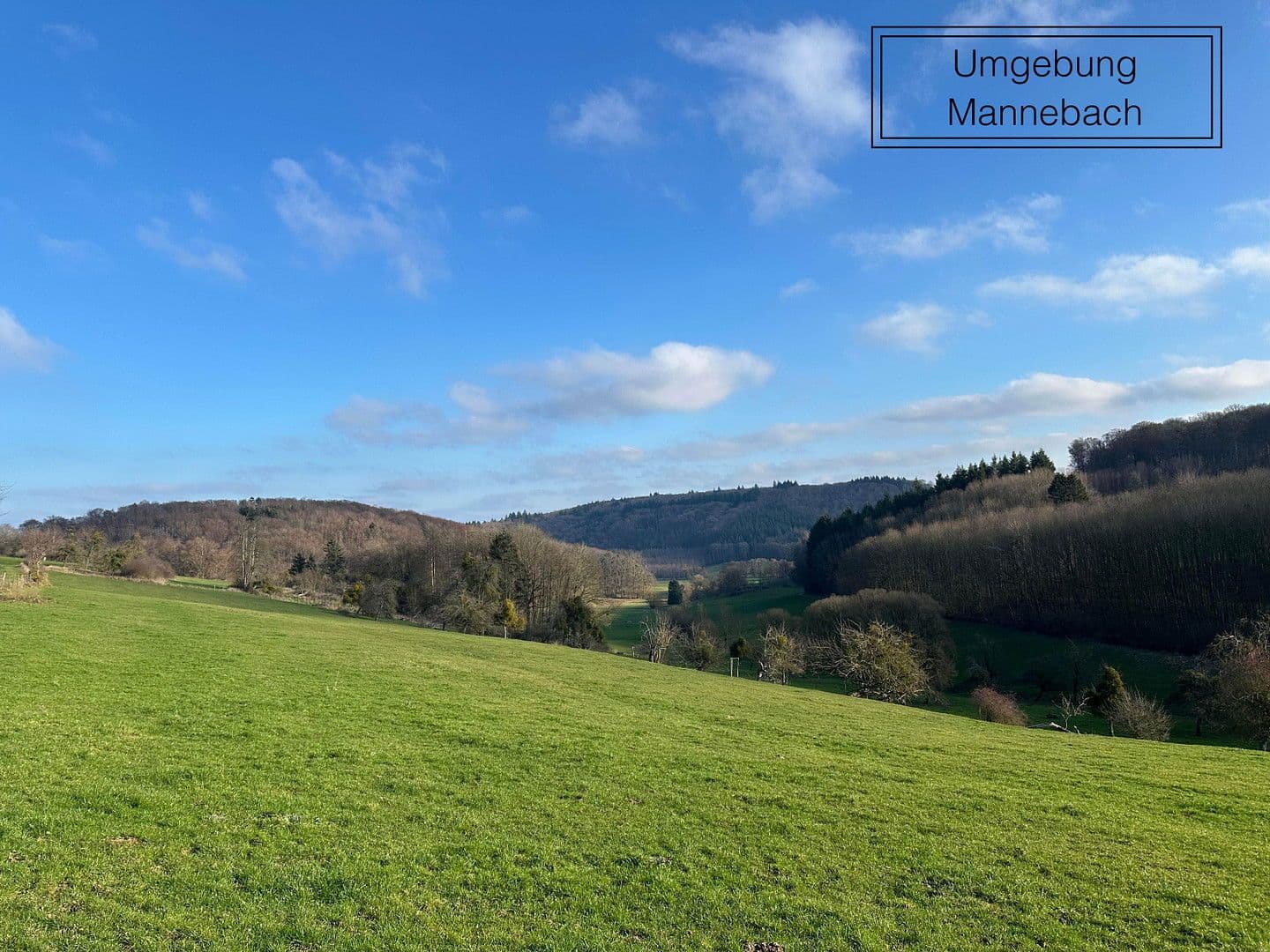 Predaj domu 384 m², pozemek 970 m², Mannebach, Porýnie-Falcko Predaj domu 384 m², pozemek 970 m², Mannebach, Porýnie-Falcko