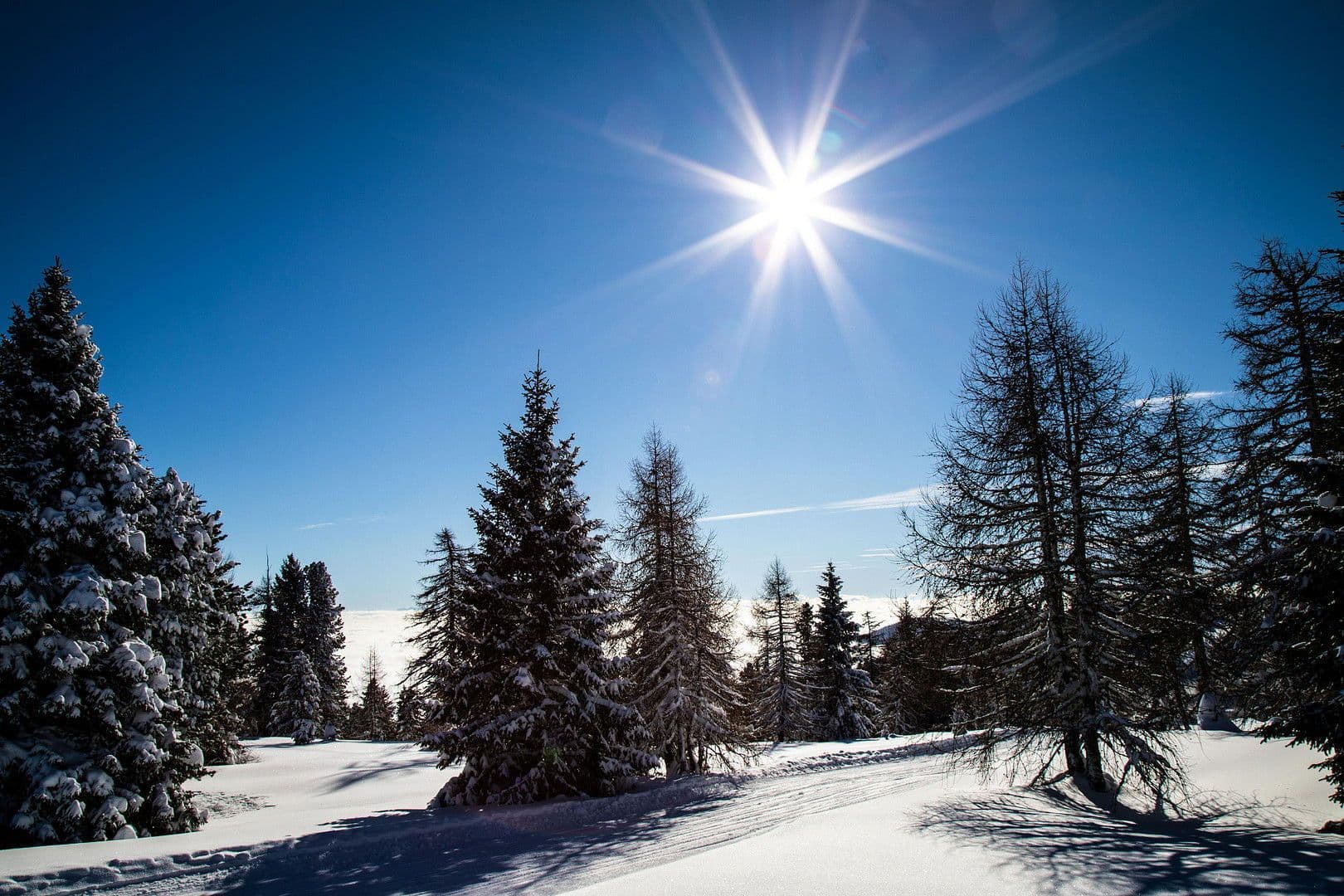 Predaj domu 160 m², pozemek 813 m², Teichweg 3, Hochrindl, Korutánsko Predaj domu 160 m², pozemek 813 m², Teichweg 3, Hochrindl, Korutánsko