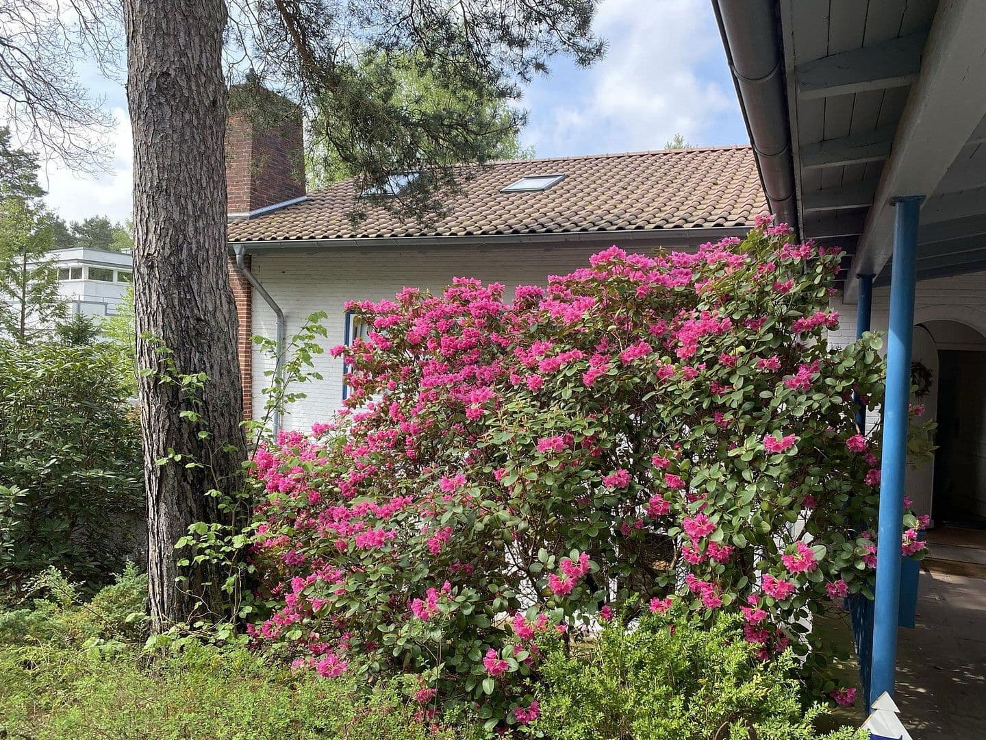 Predaj domu 377 m², pozemek 4.842 m², Deutsch Evern, Dolné Sasko Predaj domu 377 m², pozemek 4.842 m², Deutsch Evern, Dolné Sasko