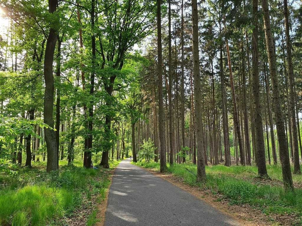 Prenájom bytu 3-izbový 118 m², V Zeleném údolí, Praha, Praha Prenájom bytu 3-izbový 118 m², V Zeleném údolí, Praha, Praha