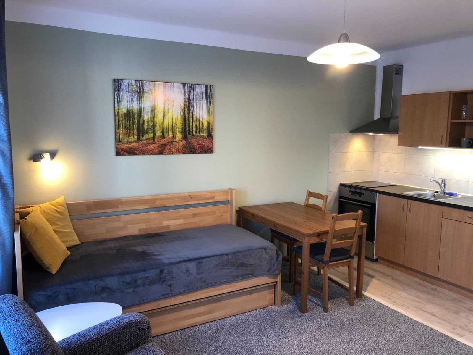 Prenájom bytu 1-izbový 30 m², Eliášova, Brno, Jihomoravský kraj Prenájom bytu 1-izbový 30 m², Eliášova, Brno, Jihomoravský kraj