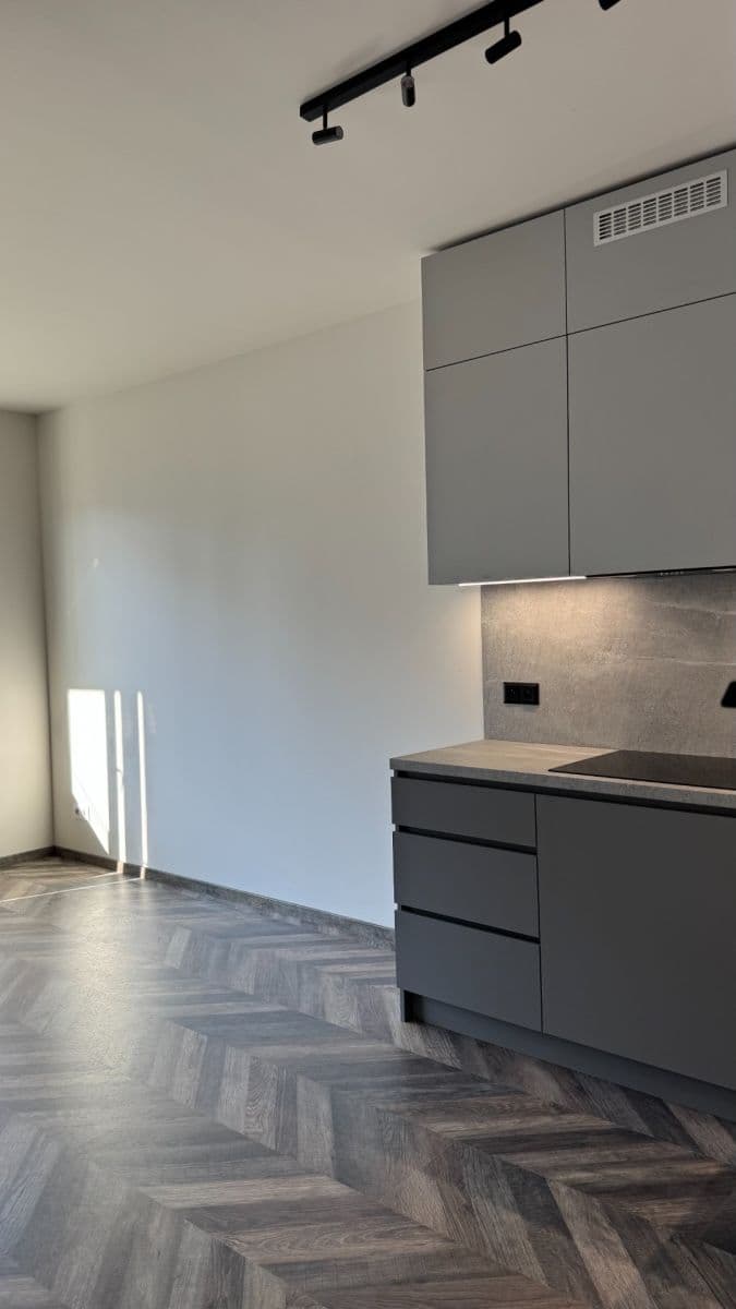 Prenájom bytu 1-izbový 36 m², Stejnosměrná, Praha, Praha Prenájom bytu 1-izbový 36 m², Stejnosměrná, Praha, Praha