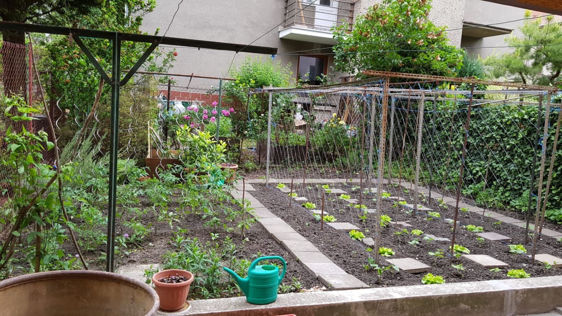 Prenájom bytu 2-izbový 41 m², Tišnovská, Brno, Jihomoravský kraj Prenájom bytu 2-izbový 41 m², Tišnovská, Brno, Jihomoravský kraj