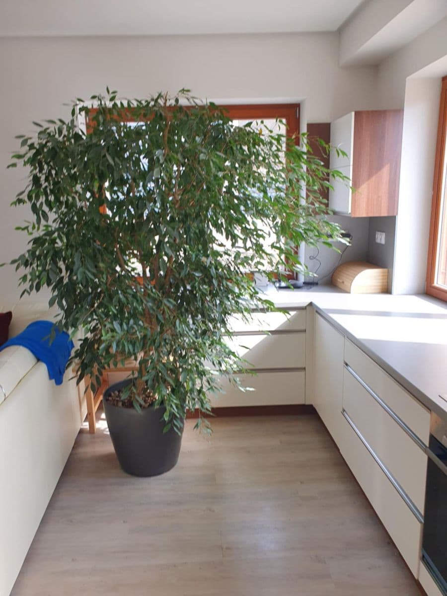 Prenájom bytu 2-izbový 66 m², Nad Rybníkem, Únětice, Středočeský kraj Prenájom bytu 2-izbový 66 m², Nad Rybníkem, Únětice, Středočeský kraj