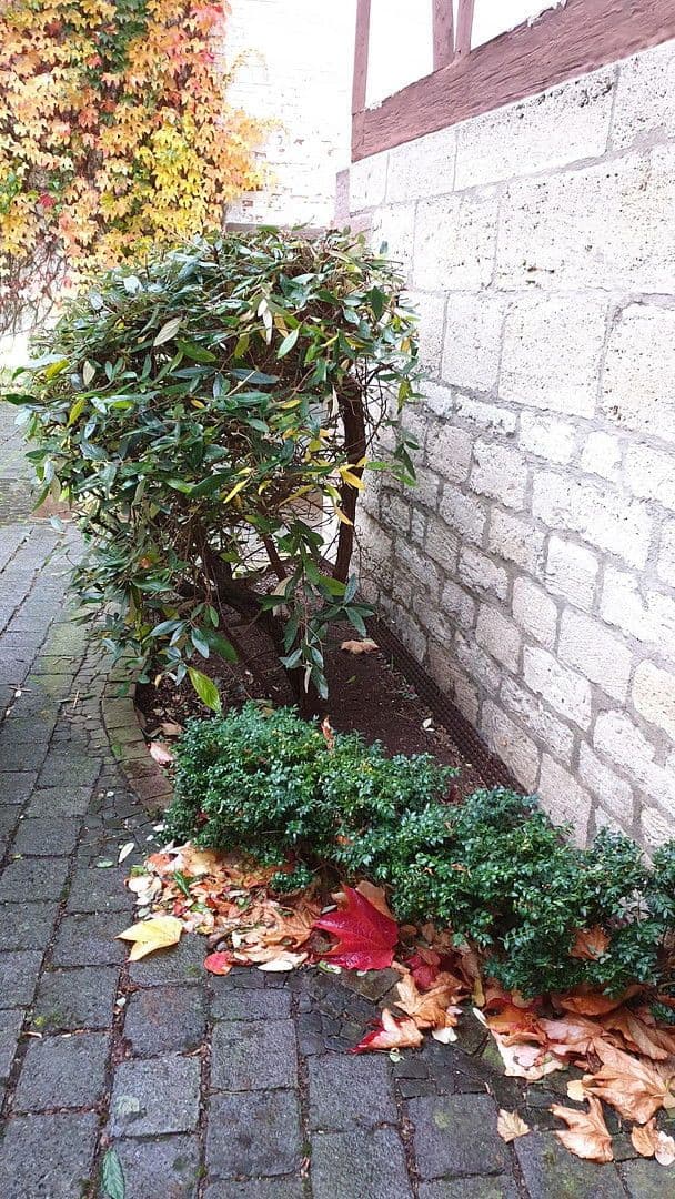 Predaj domu 672 m², pozemek 502 m², Triftstr. 22, Leinefelde-Worbis, Durínsko Predaj domu 672 m², pozemek 502 m², Triftstr. 22, Leinefelde-Worbis, Durínsko