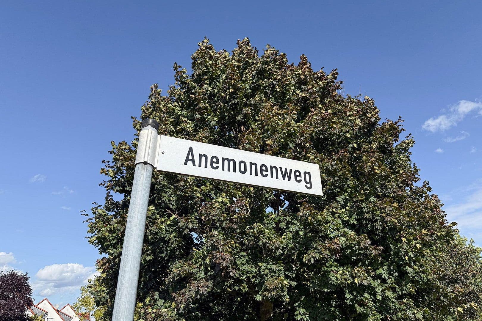 Predaj domu 122 m², pozemek 202 m², Anemonenweg 15, Möser, Sasko-Anhaltsko Predaj domu 122 m², pozemek 202 m², Anemonenweg 15, Möser, Sasko-Anhaltsko