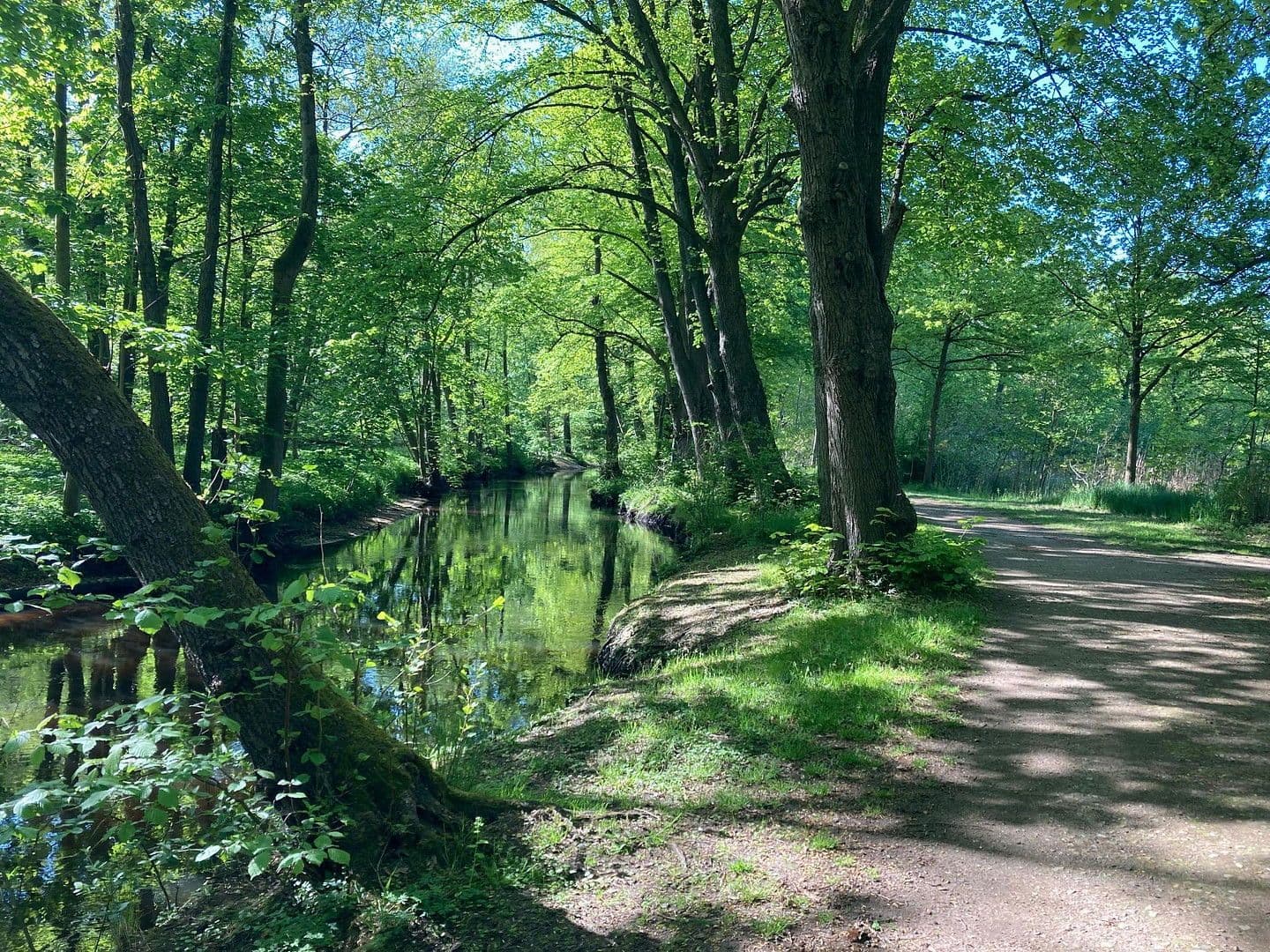 Predaj domu 201 m², pozemek 656 m², Bad Bramstedt, Šlezvicko-Holštajnsko Predaj domu 201 m², pozemek 656 m², Bad Bramstedt, Šlezvicko-Holštajnsko