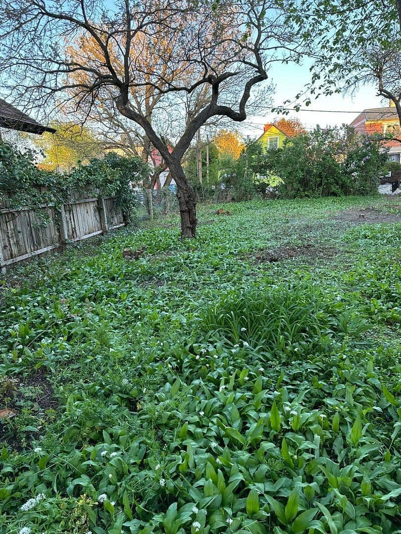 Predaj pozemku 493 m², Wien, Viedeň Predaj pozemku 493 m², Wien, Viedeň