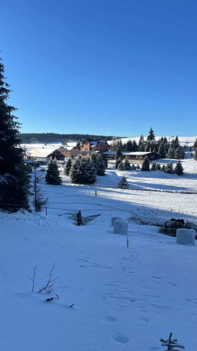 Predaj domu 1.148 m², pozemek 7.869 m², Nové Hamry, Karlovarský kraj Predaj domu 1.148 m², pozemek 7.869 m², Nové Hamry, Karlovarský kraj