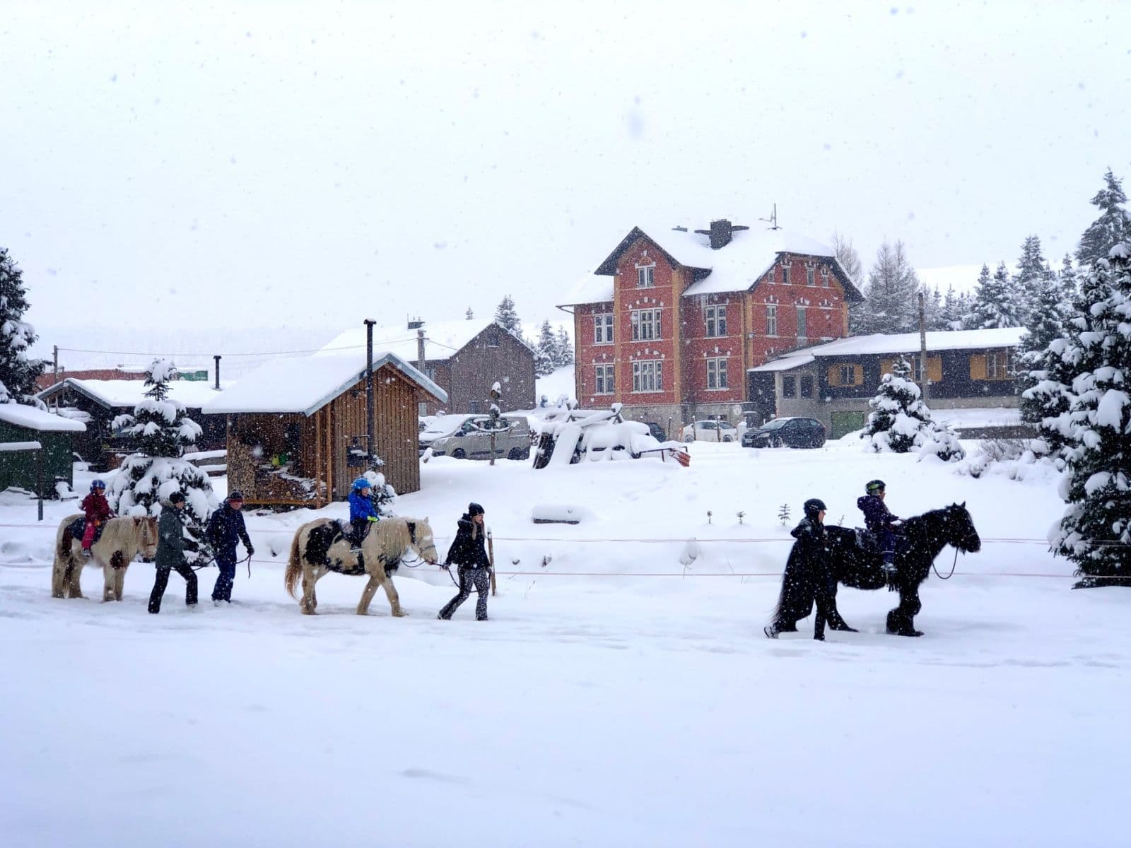 Predaj domu 1.148 m², pozemek 7.869 m², Nové Hamry, Karlovarský kraj Predaj domu 1.148 m², pozemek 7.869 m², Nové Hamry, Karlovarský kraj