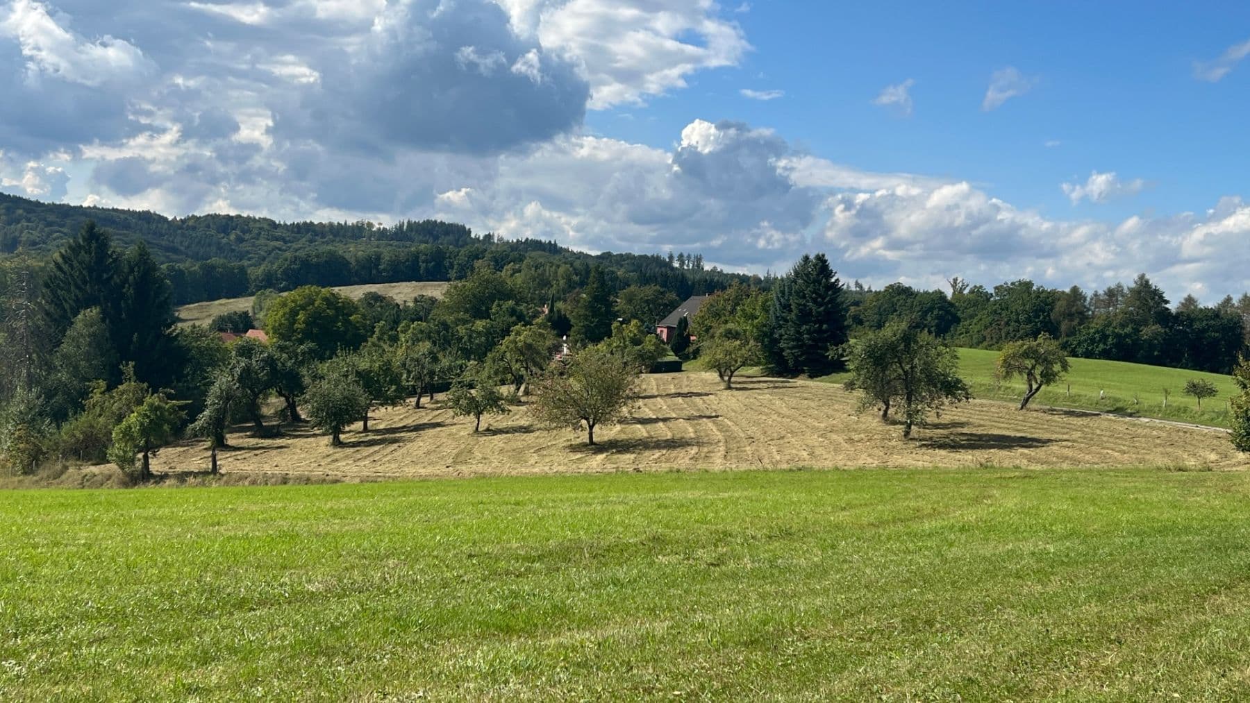 Predaj pozemku 5.276 m², Šárovcova Lhota, Královéhradecký kraj Predaj pozemku 5.276 m², Šárovcova Lhota, Královéhradecký kraj