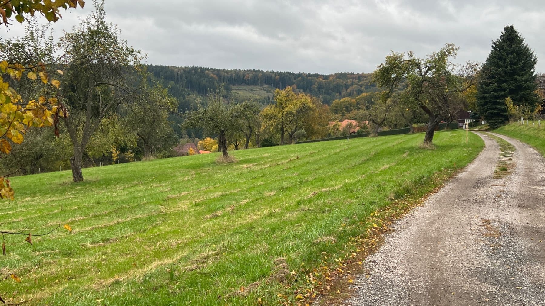 Predaj pozemku 5.276 m², Šárovcova Lhota, Královéhradecký kraj Predaj pozemku 5.276 m², Šárovcova Lhota, Královéhradecký kraj