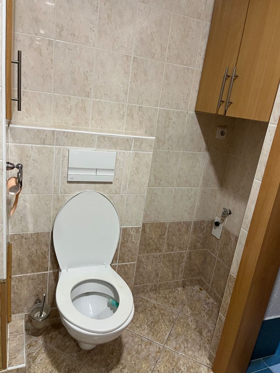 Prenájom bytu 3-izbový 60 m², Čermákova, Plzeň, Plzeňský kraj Prenájom bytu 3-izbový 60 m², Čermákova, Plzeň, Plzeňský kraj