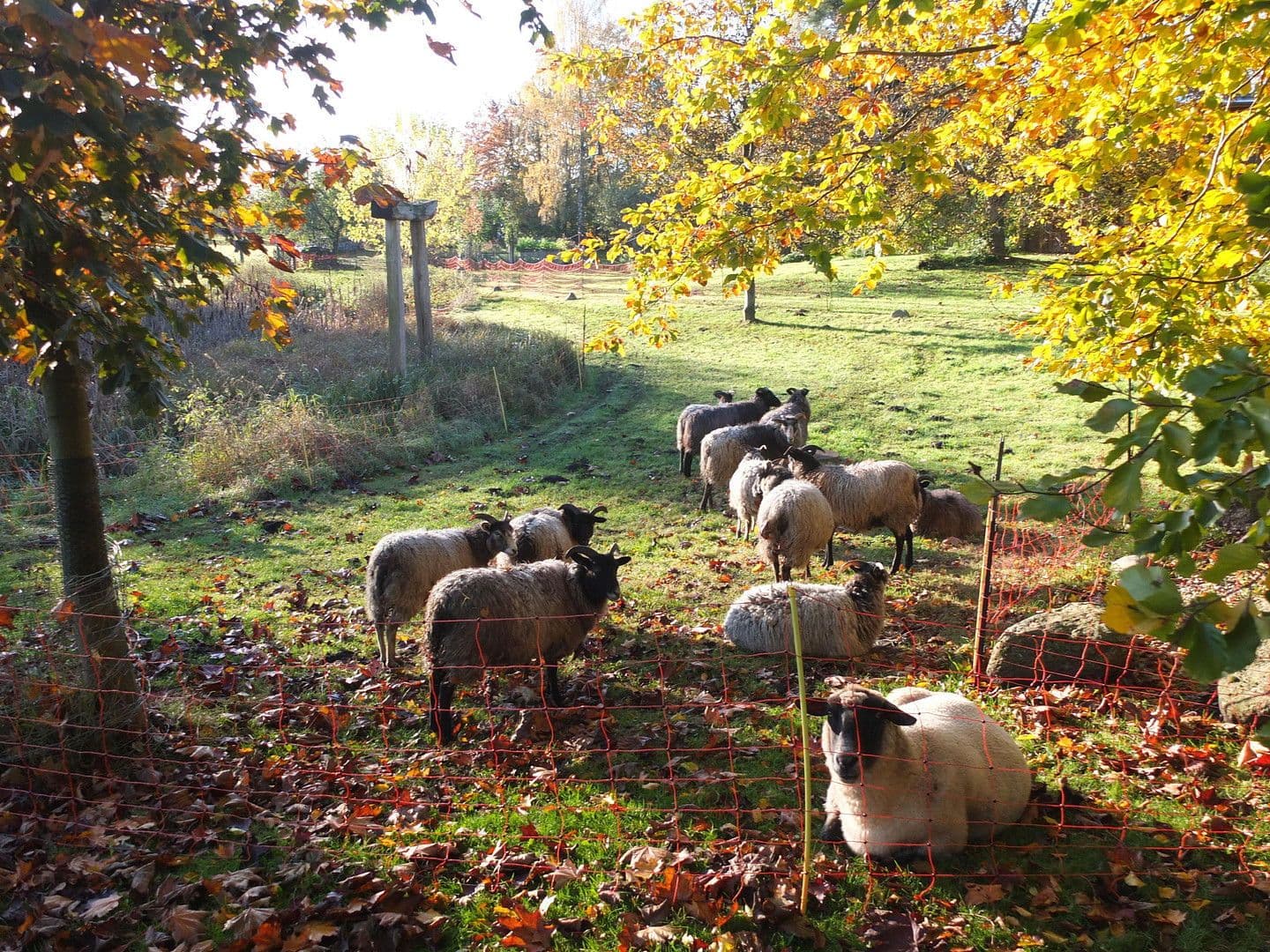 Predaj bytu 1.000 m², Sterley, Šlezvicko-Holštajnsko Predaj bytu 1.000 m², Sterley, Šlezvicko-Holštajnsko