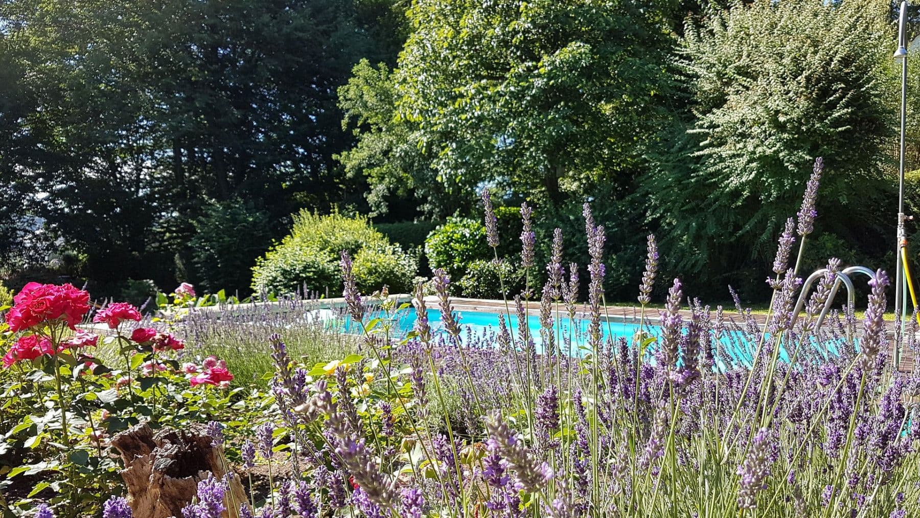 Predaj domu 214 m², pozemek 2.084 m², Heiligenkreuz am Waasen, Štajersko Predaj domu 214 m², pozemek 2.084 m², Heiligenkreuz am Waasen, Štajersko