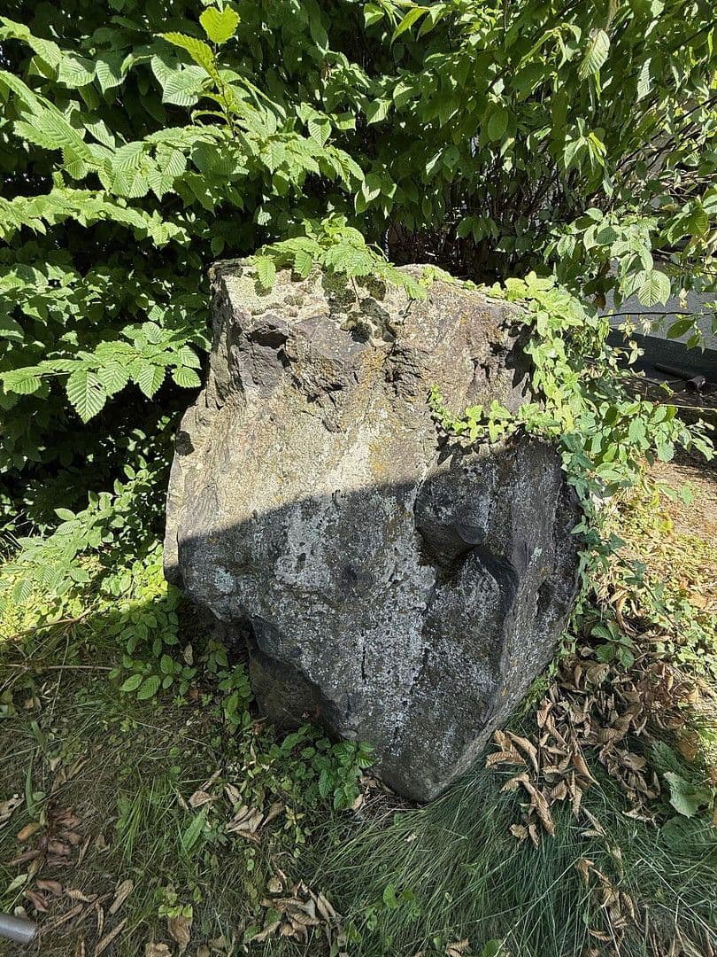 Predaj domu 478 m², pozemek 1.827 m², Neuhof, Hesensko Predaj domu 478 m², pozemek 1.827 m², Neuhof, Hesensko