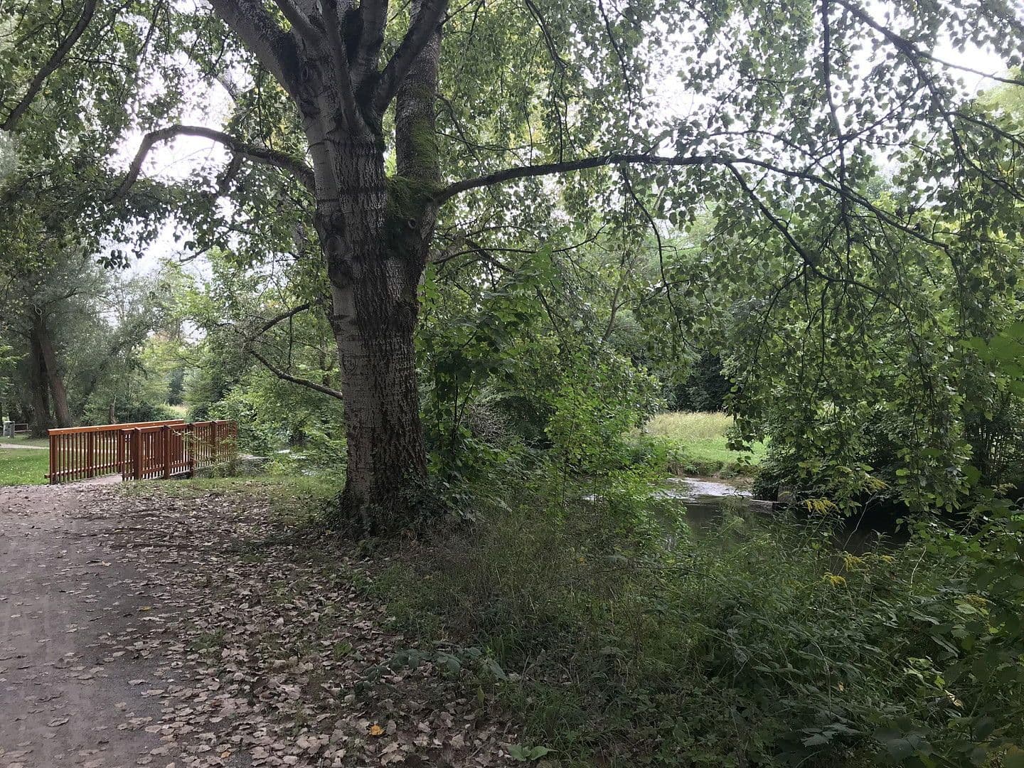 Predaj domu 157 m², pozemek 101 m², Karlsruhe, Bádensko-Wurttembersko Predaj domu 157 m², pozemek 101 m², Karlsruhe, Bádensko-Wurttembersko