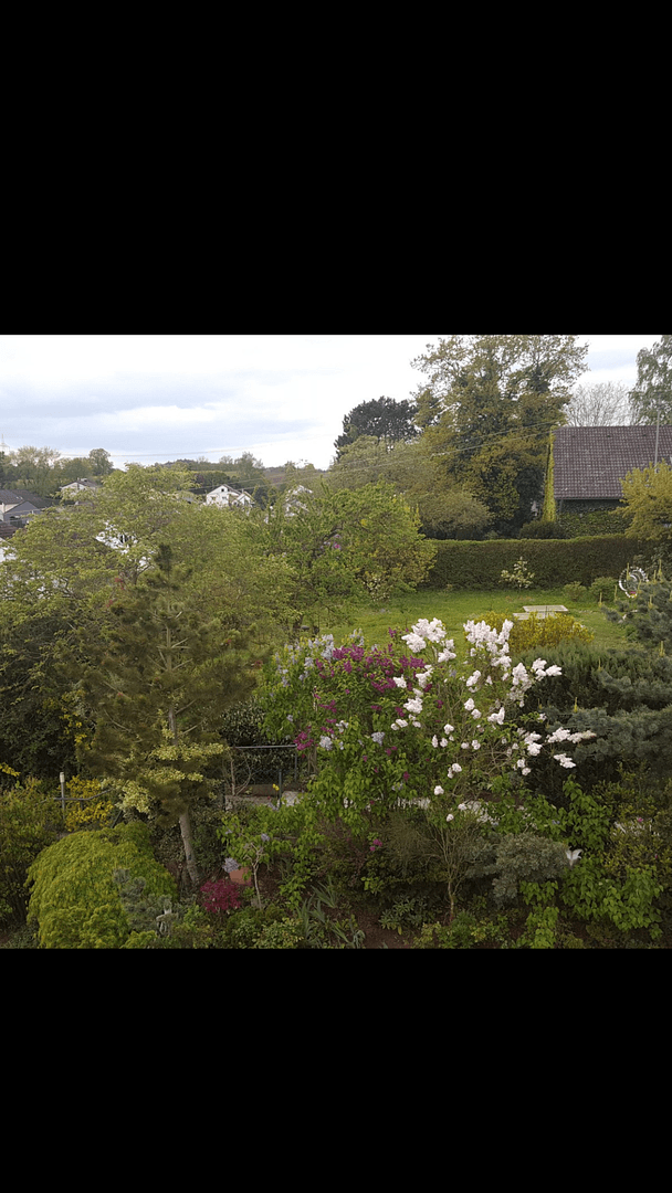 Predaj domu 132 m², pozemek 256 m², Dasing, Bavorsko Predaj domu 132 m², pozemek 256 m², Dasing, Bavorsko