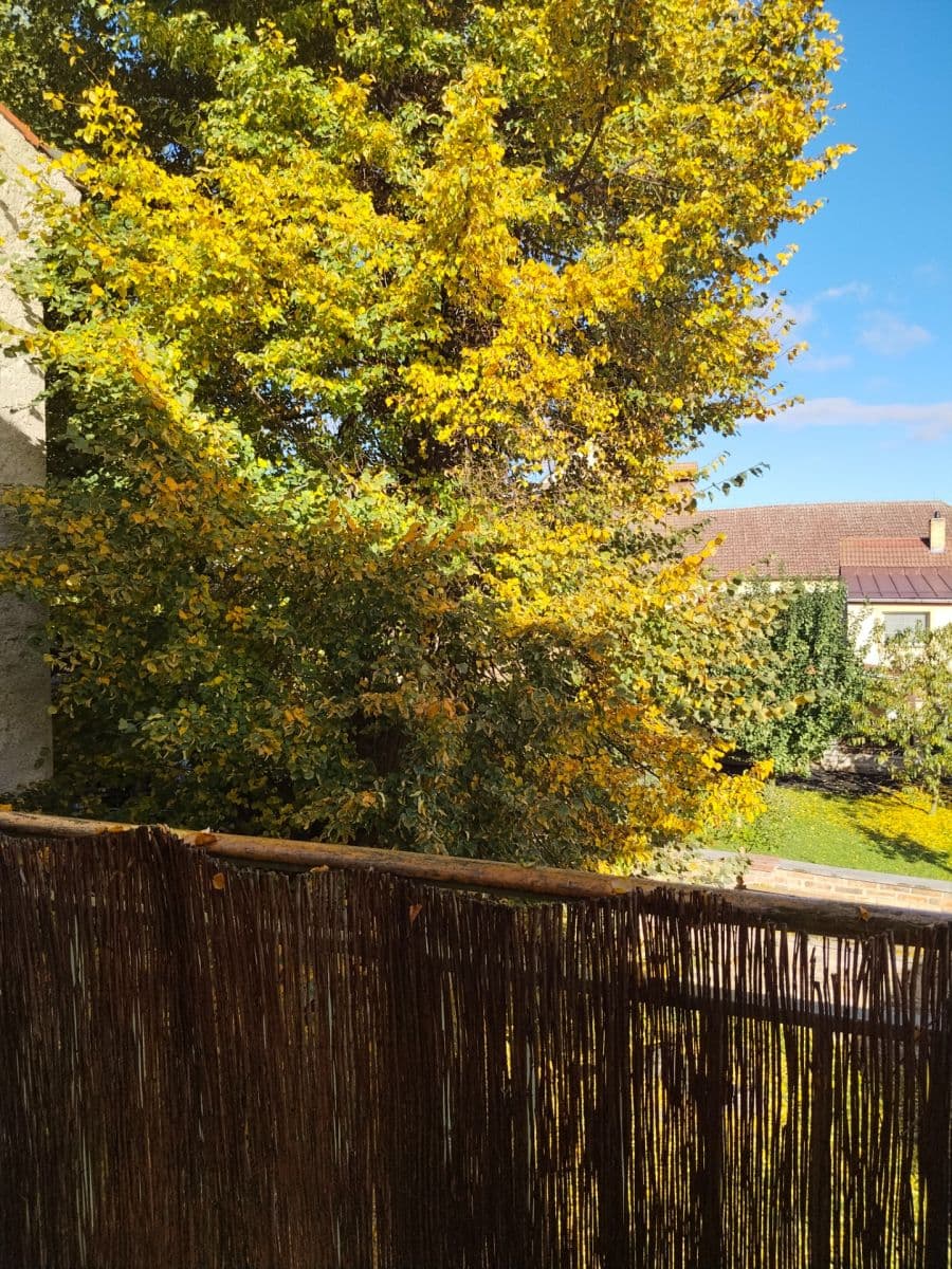 Prenájom bytu 2-izbový 39 m², Mírové náměstí, Kouřim, Středočeský kraj Prenájom bytu 2-izbový 39 m², Mírové náměstí, Kouřim, Středočeský kraj