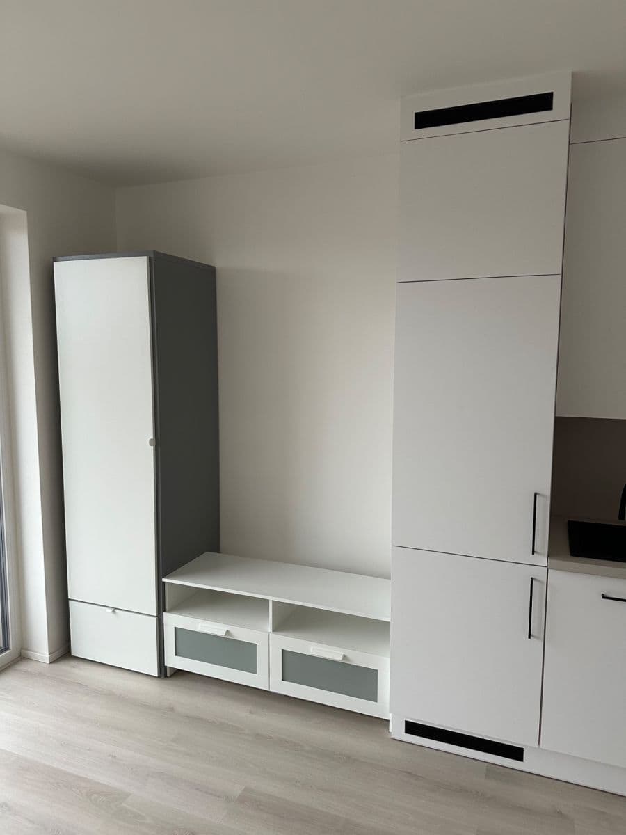 Prenájom bytu 1-izbový 30 m², Dornych, Brno, Jihomoravský kraj Prenájom bytu 1-izbový 30 m², Dornych, Brno, Jihomoravský kraj