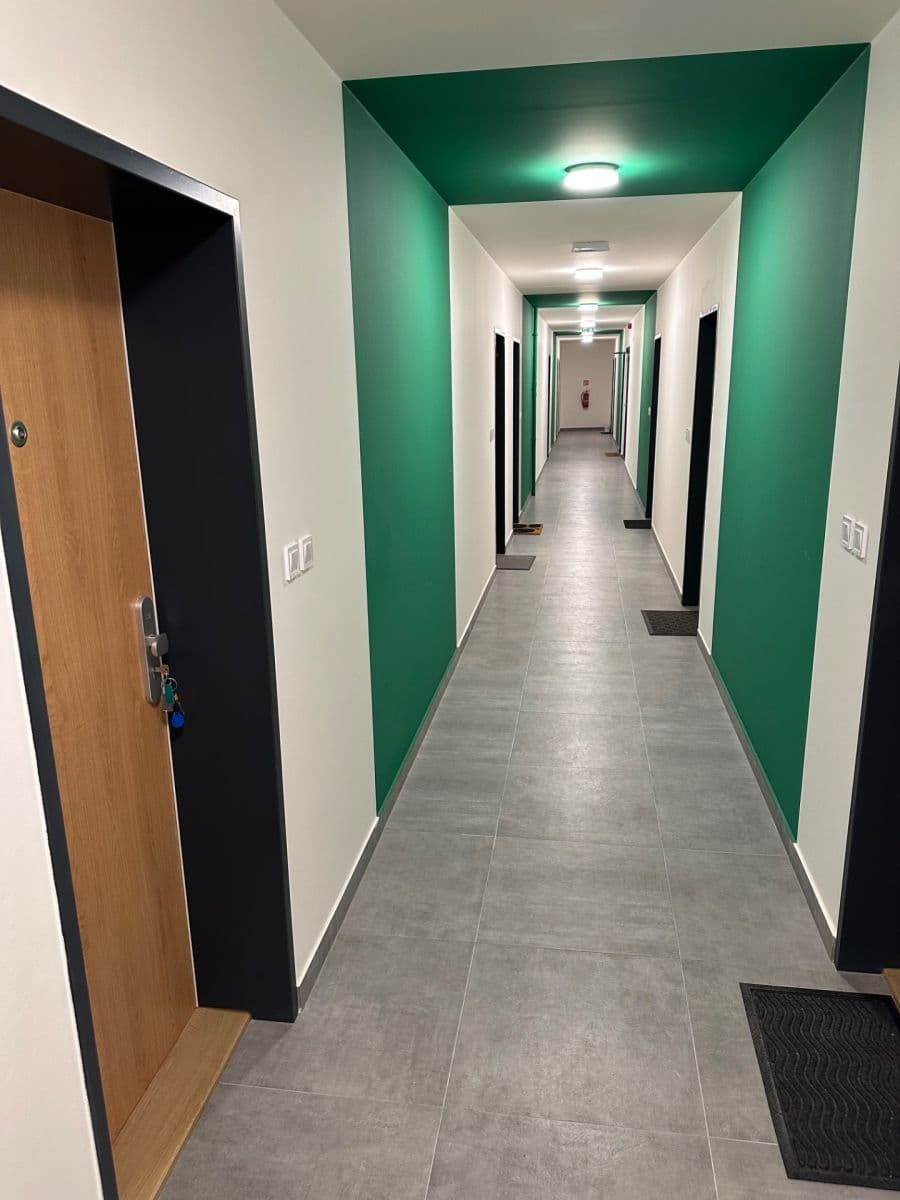 Prenájom bytu 1-izbový 30 m², Dornych, Brno, Jihomoravský kraj Prenájom bytu 1-izbový 30 m², Dornych, Brno, Jihomoravský kraj