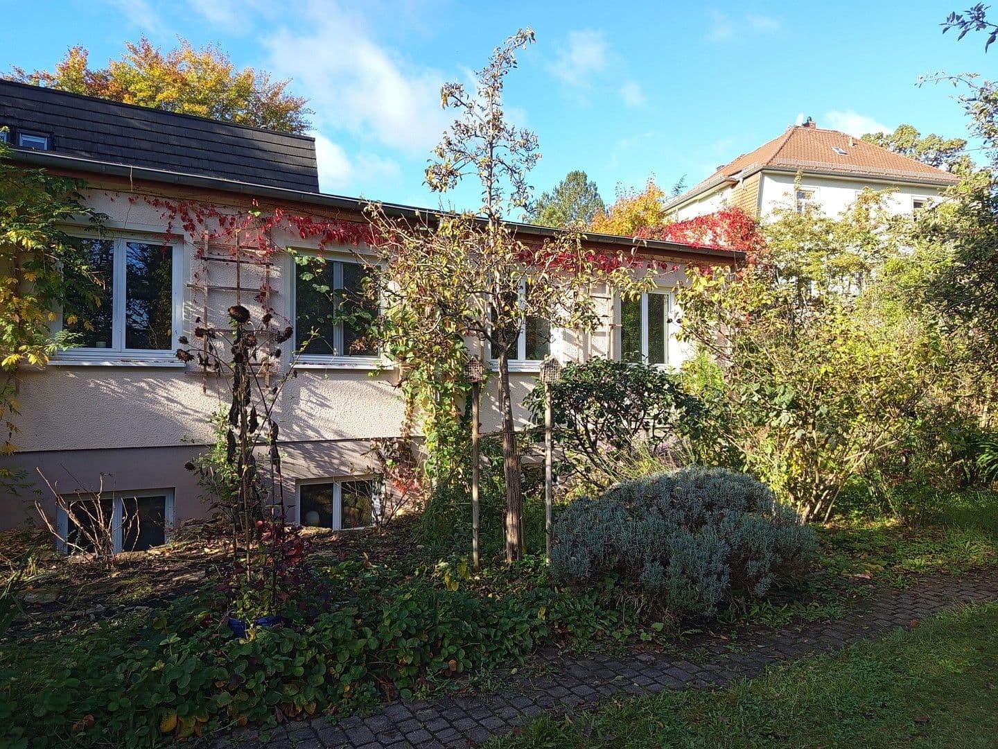 Prenájom kancelárie 55 m², Dresden, Sasko Prenájom kancelárie 55 m², Dresden, Sasko
