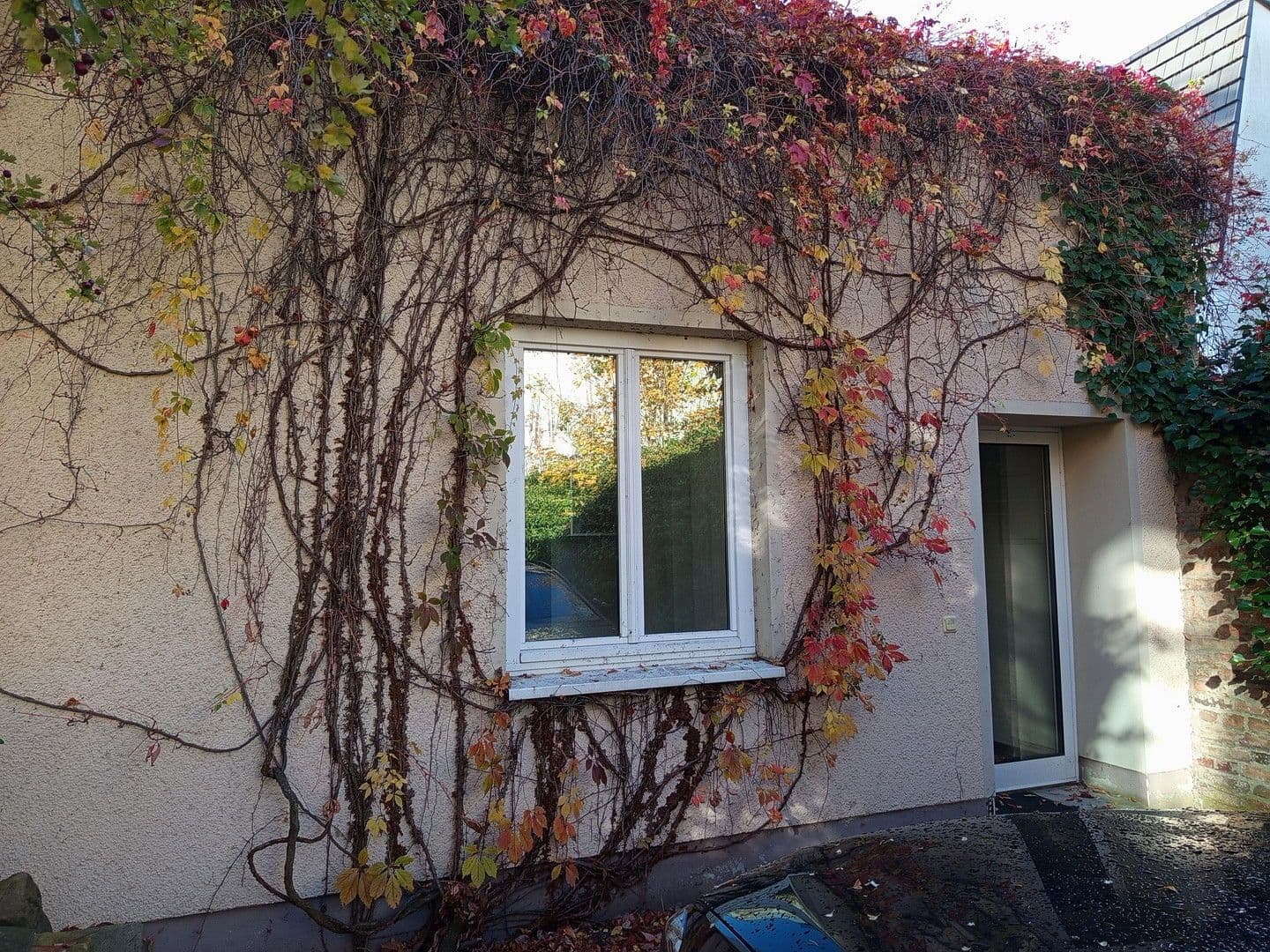 Prenájom kancelárie 55 m², Dresden, Sasko Prenájom kancelárie 55 m², Dresden, Sasko