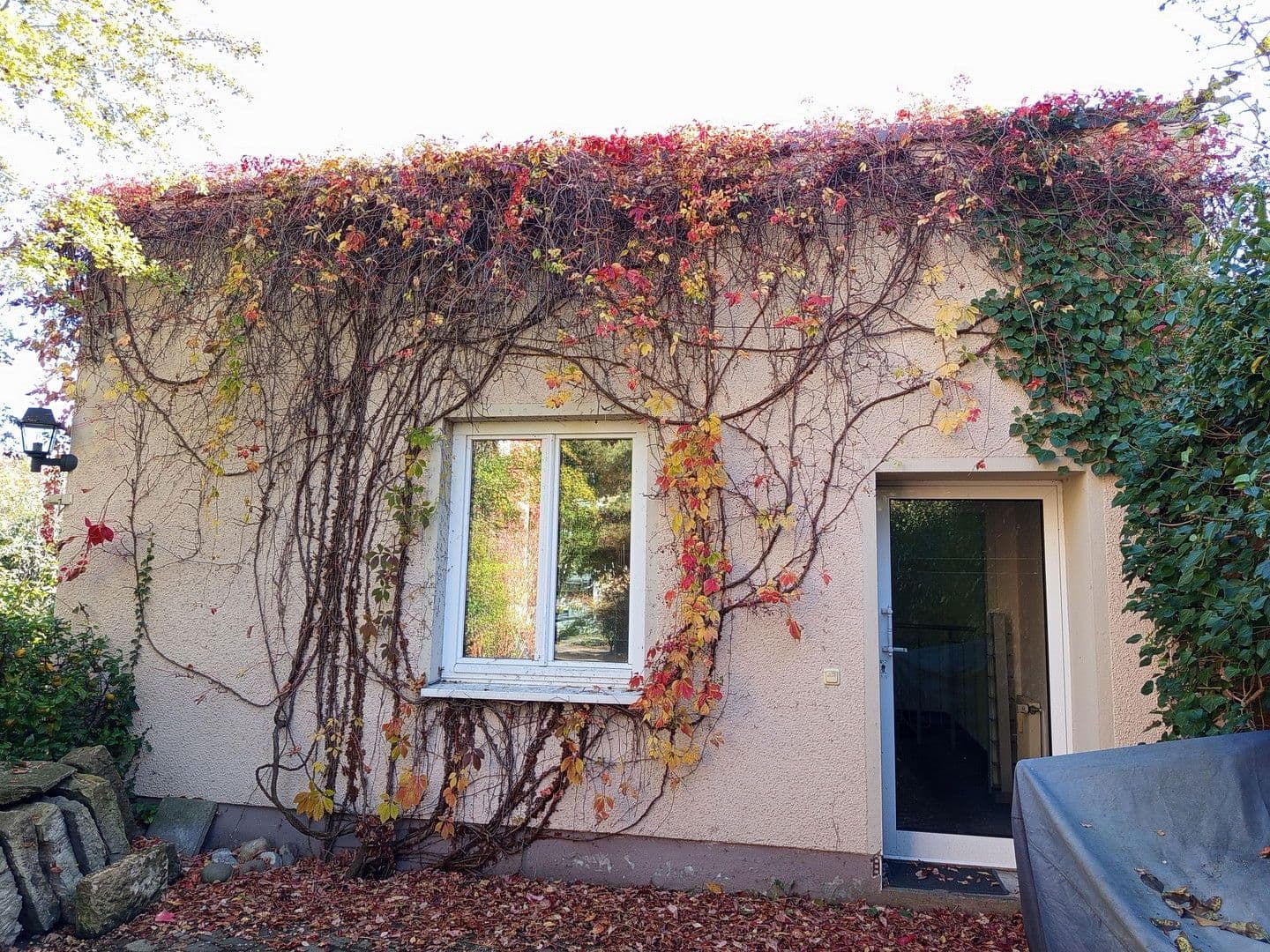 Prenájom kancelárie 55 m², Dresden, Sasko Prenájom kancelárie 55 m², Dresden, Sasko