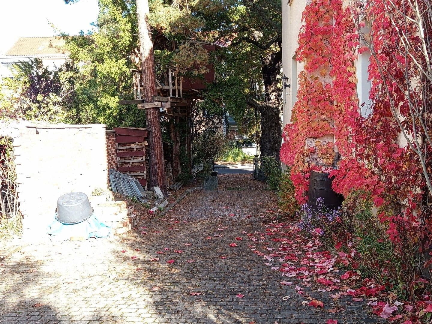 Prenájom kancelárie 55 m², Dresden, Sasko Prenájom kancelárie 55 m², Dresden, Sasko