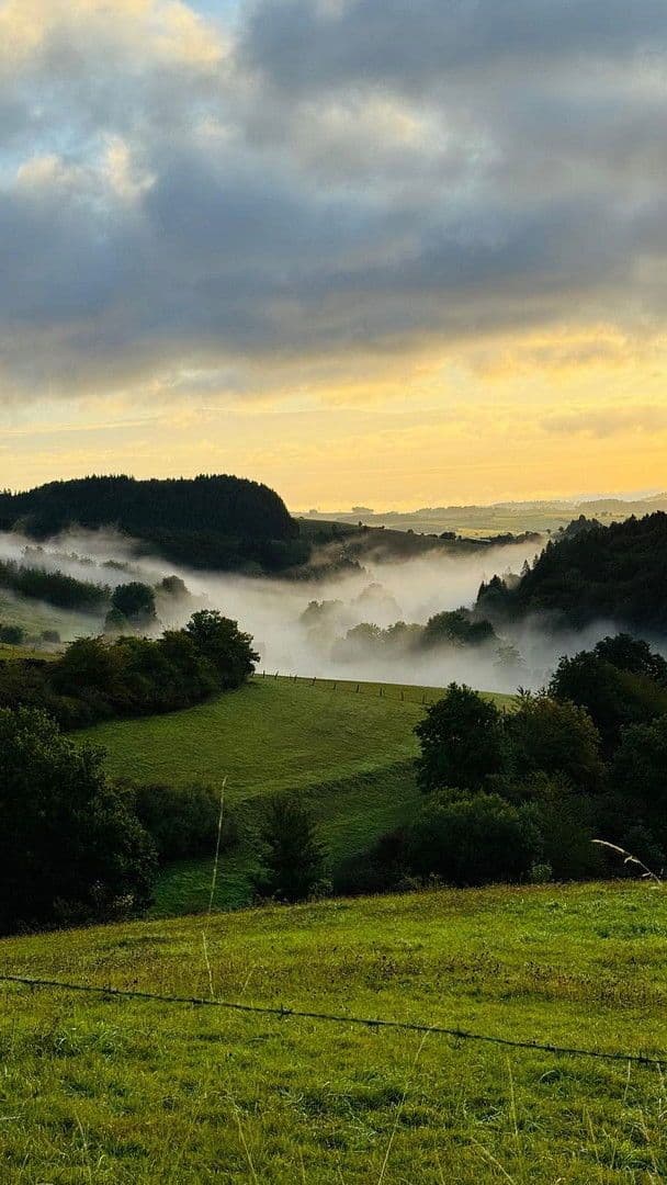 Predaj domu 400 m², pozemek 375 m², Medebach, Severné Porýnie - Westfálsko Predaj domu 400 m², pozemek 375 m², Medebach, Severné Porýnie - Westfálsko