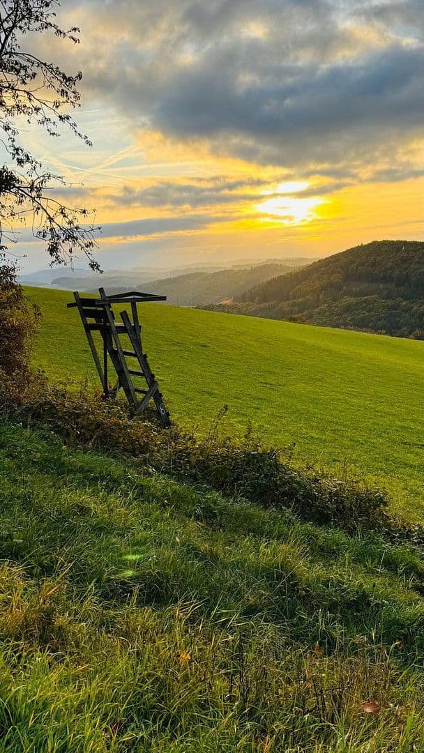 Predaj domu 400 m², pozemek 375 m², Medebach, Severné Porýnie - Westfálsko Predaj domu 400 m², pozemek 375 m², Medebach, Severné Porýnie - Westfálsko