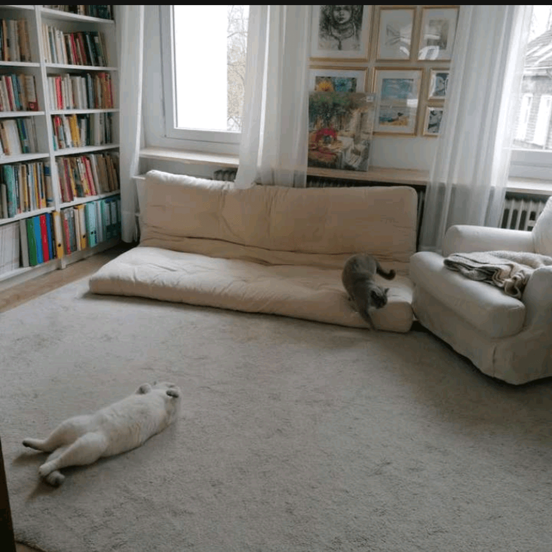 Prenájom bytu 3-izbový 72 m², Burgstraße 85, Solingen, Severné Porýnie - Westfálsko Prenájom bytu 3-izbový 72 m², Burgstraße 85, Solingen, Severné Porýnie - Westfálsko