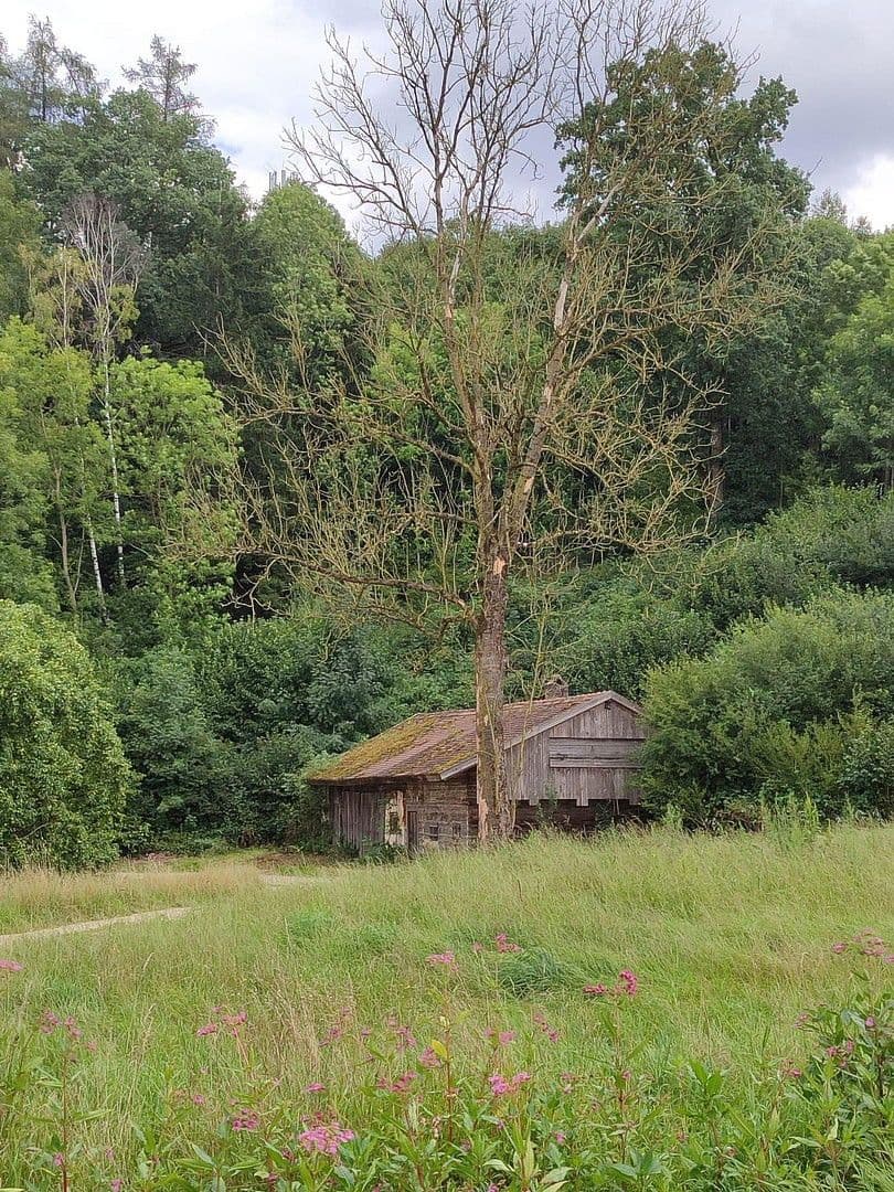 Predaj domu 60 m², pozemek 11.475 m², Adlkofen, Bavorsko Predaj domu 60 m², pozemek 11.475 m², Adlkofen, Bavorsko