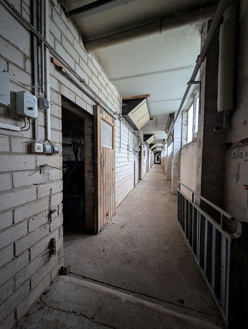 Prenájom pozemku 23.500 m², Klossaer Straße 48, Jessen (Elster), Sasko-Anhaltsko Prenájom pozemku 23.500 m², Klossaer Straße 48, Jessen (Elster), Sasko-Anhaltsko