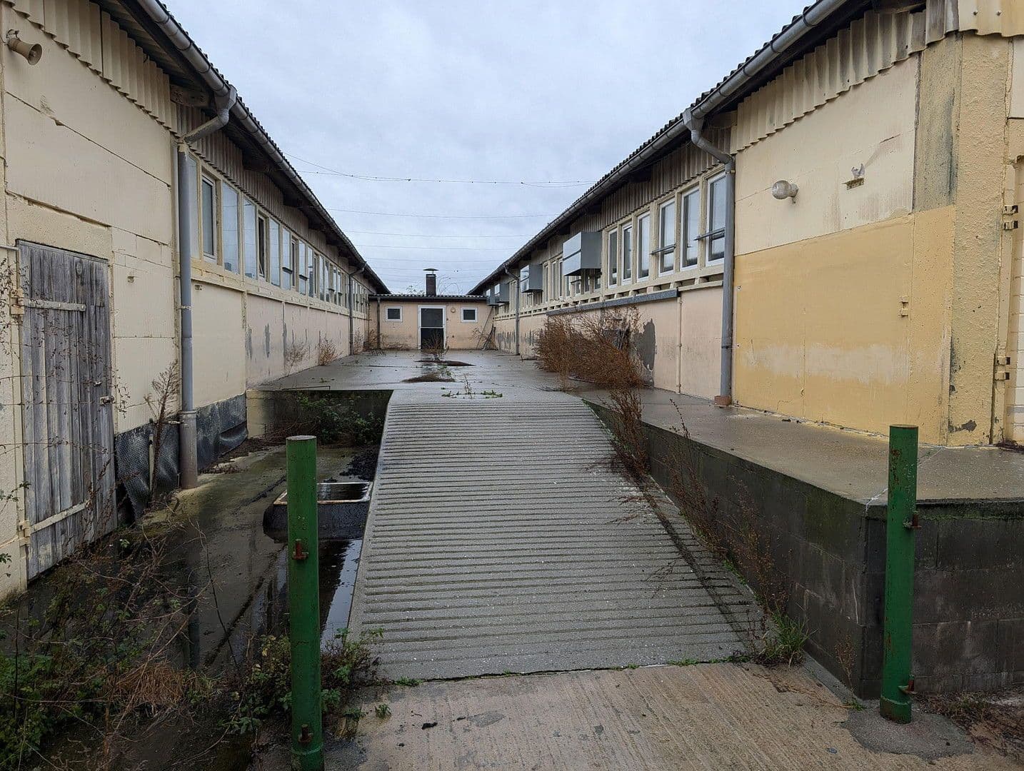 Prenájom pozemku 23.500 m², Klossaer Straße 48, Jessen (Elster), Sasko-Anhaltsko Prenájom pozemku 23.500 m², Klossaer Straße 48, Jessen (Elster), Sasko-Anhaltsko