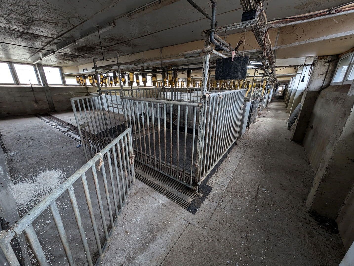 Prenájom pozemku 23.500 m², Klossaer Straße 48, Jessen (Elster), Sasko-Anhaltsko Prenájom pozemku 23.500 m², Klossaer Straße 48, Jessen (Elster), Sasko-Anhaltsko