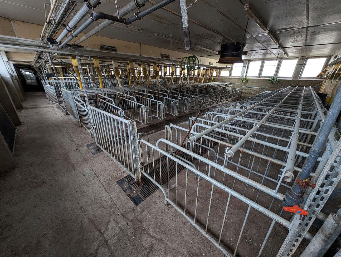 Prenájom pozemku 23.500 m², Klossaer Straße 48, Jessen (Elster), Sasko-Anhaltsko Prenájom pozemku 23.500 m², Klossaer Straße 48, Jessen (Elster), Sasko-Anhaltsko