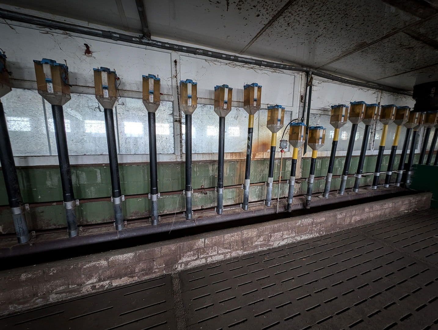 Prenájom pozemku 23.500 m², Klossaer Straße 48, Jessen (Elster), Sasko-Anhaltsko Prenájom pozemku 23.500 m², Klossaer Straße 48, Jessen (Elster), Sasko-Anhaltsko