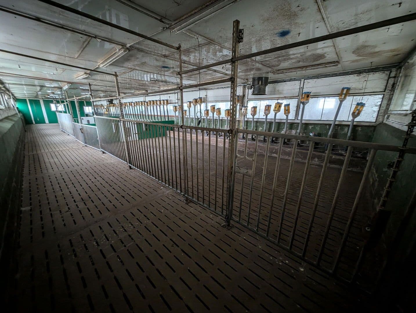 Prenájom pozemku 23.500 m², Klossaer Straße 48, Jessen (Elster), Sasko-Anhaltsko Prenájom pozemku 23.500 m², Klossaer Straße 48, Jessen (Elster), Sasko-Anhaltsko