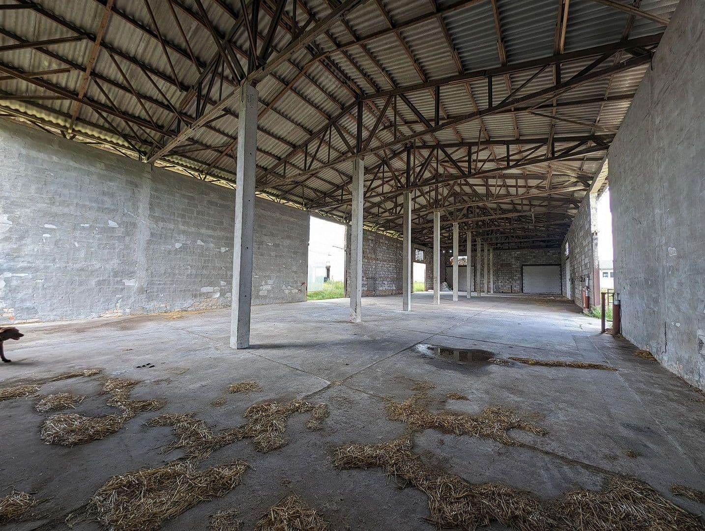 Prenájom pozemku 23.500 m², Klossaer Straße 48, Jessen (Elster), Sasko-Anhaltsko Prenájom pozemku 23.500 m², Klossaer Straße 48, Jessen (Elster), Sasko-Anhaltsko