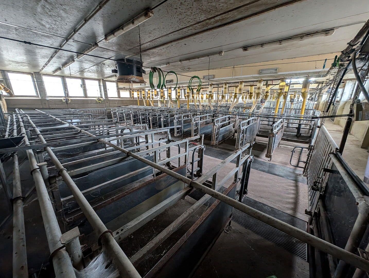 Prenájom pozemku 23.500 m², Klossaer Straße 48, Jessen (Elster), Sasko-Anhaltsko Prenájom pozemku 23.500 m², Klossaer Straße 48, Jessen (Elster), Sasko-Anhaltsko