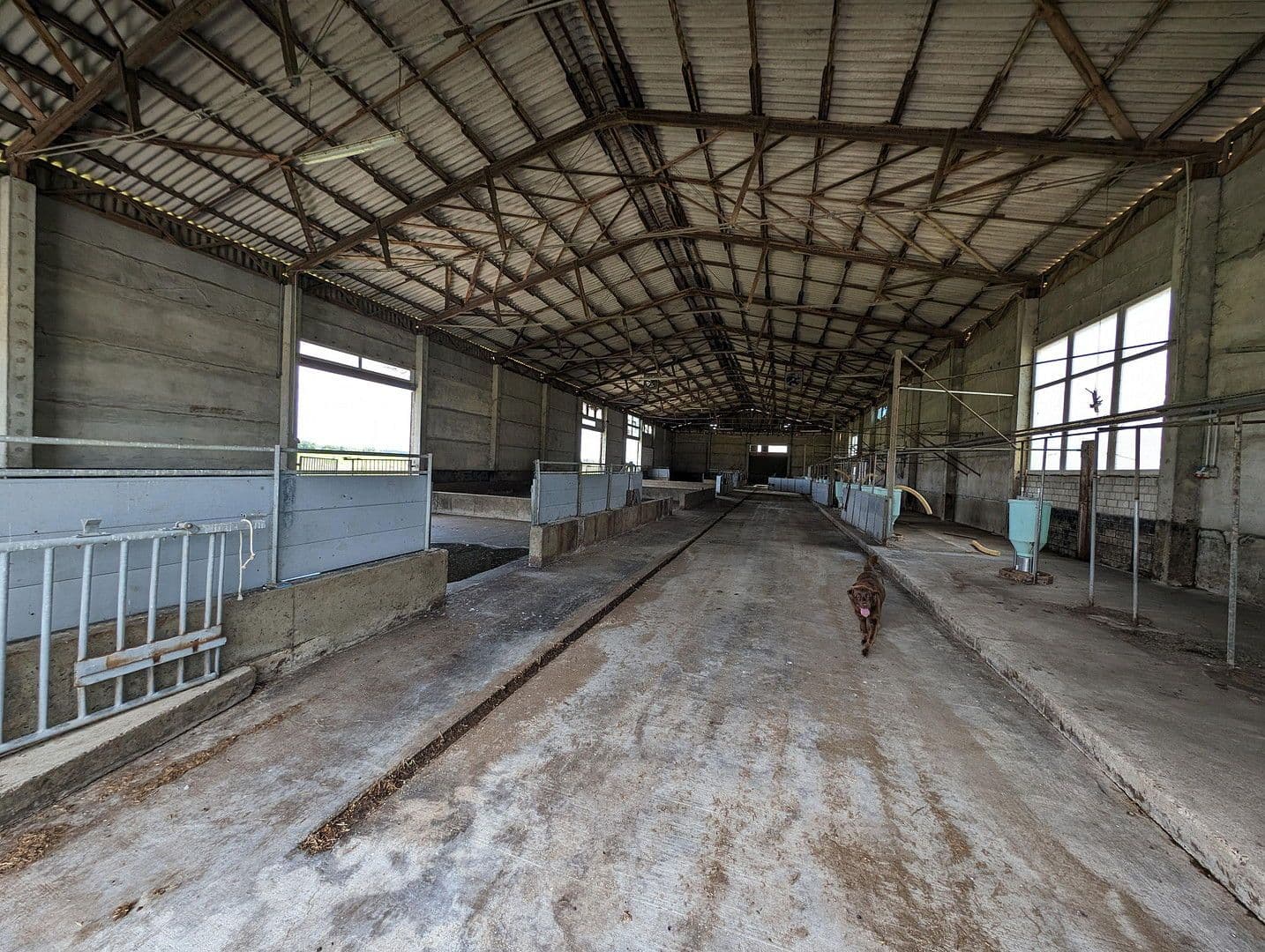 Prenájom pozemku 23.500 m², Klossaer Straße 48, Jessen (Elster), Sasko-Anhaltsko Prenájom pozemku 23.500 m², Klossaer Straße 48, Jessen (Elster), Sasko-Anhaltsko