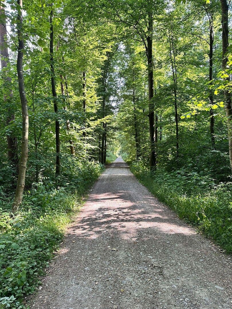 Predaj domu 139 m², pozemek 401 m², Augsburg, Bavorsko Predaj domu 139 m², pozemek 401 m², Augsburg, Bavorsko