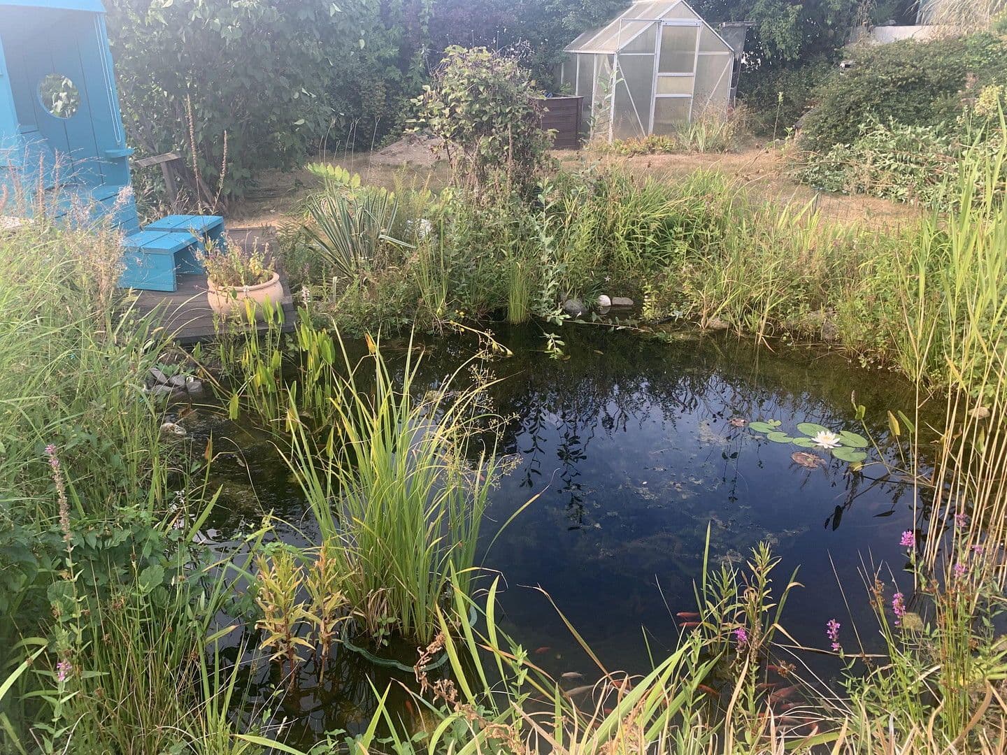 Prenájom domu 130 m², pozemek 650 m², Große Wiese 5, Steinebach an der Wied, Porýnie-Falcko Prenájom domu 130 m², pozemek 650 m², Große Wiese 5, Steinebach an der Wied, Porýnie-Falcko