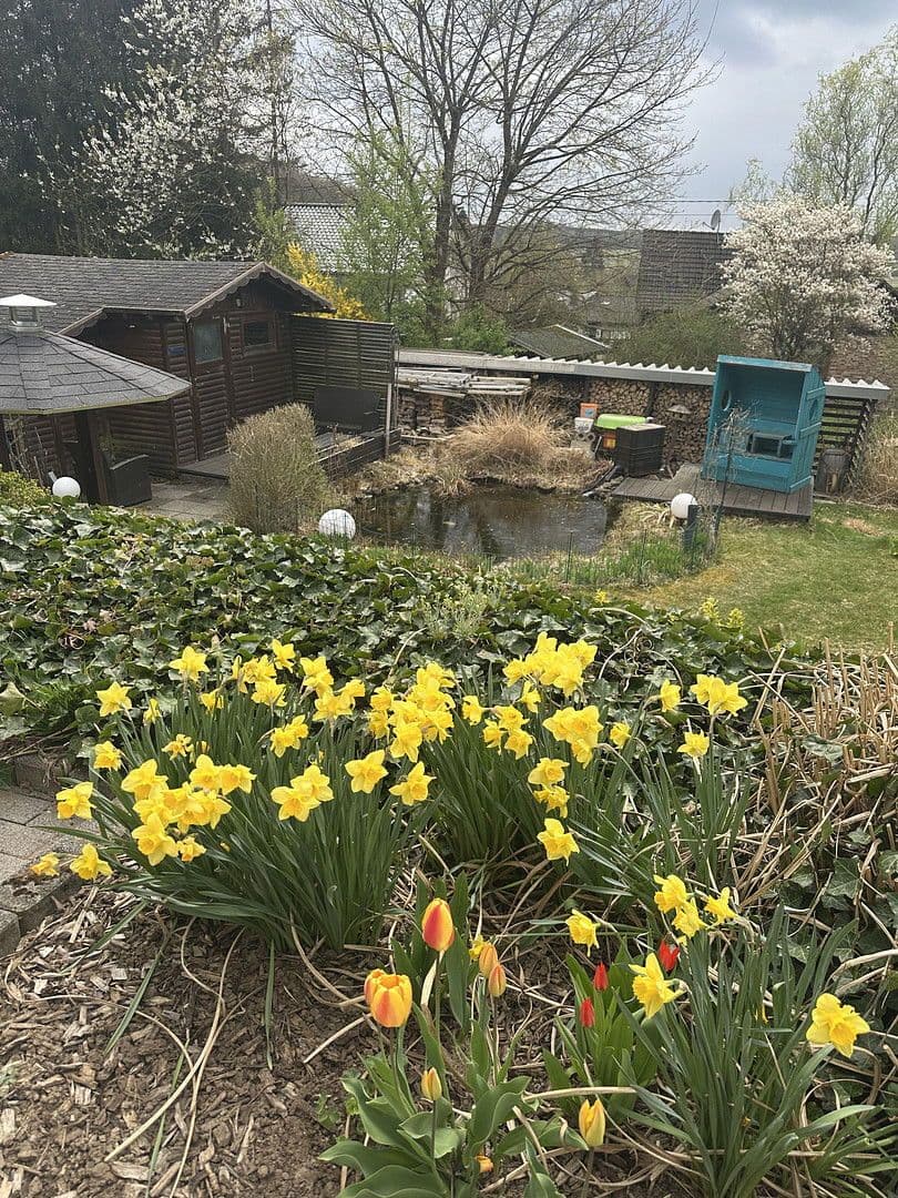 Prenájom domu 130 m², pozemek 650 m², Große Wiese 5, Steinebach an der Wied, Porýnie-Falcko Prenájom domu 130 m², pozemek 650 m², Große Wiese 5, Steinebach an der Wied, Porýnie-Falcko