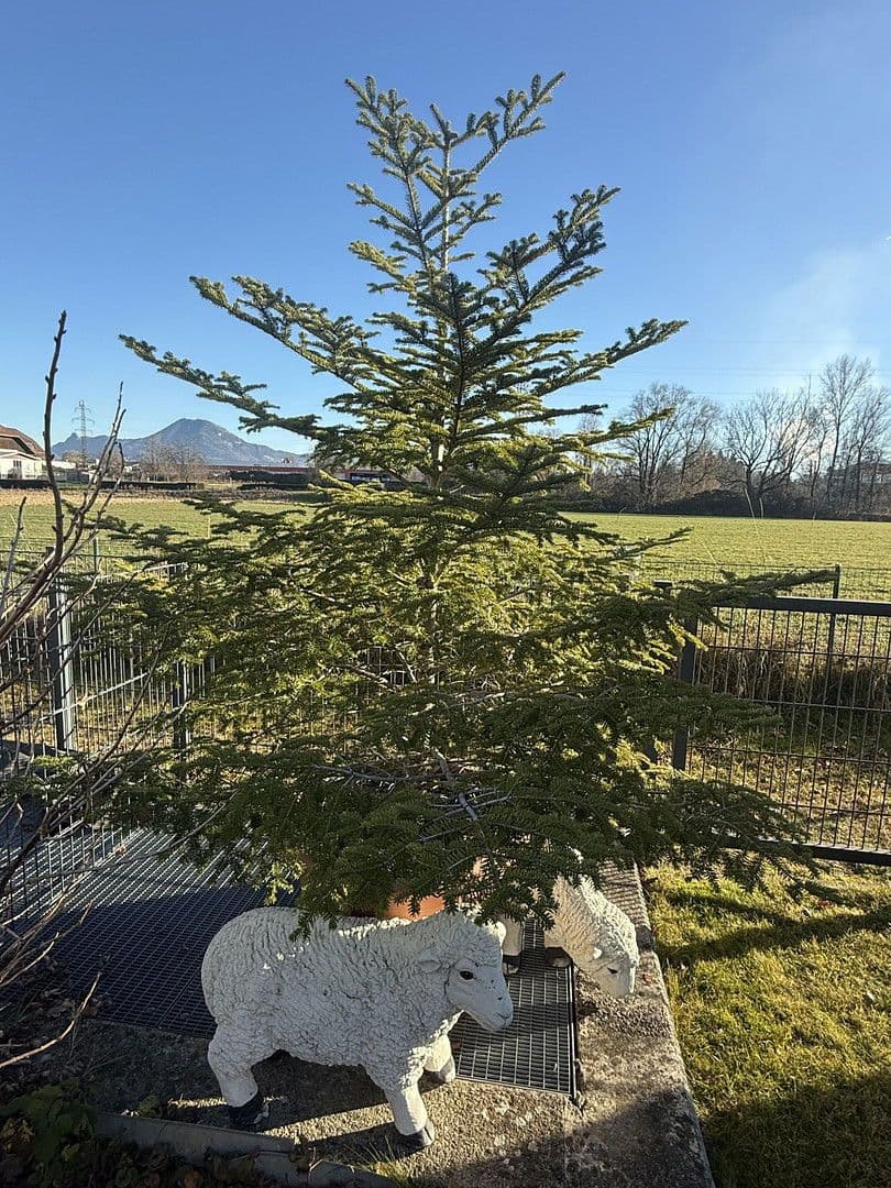 Prenájom bytu 2-izbový 52 m², Salzburg/Liefering, Salzbursko Prenájom bytu 2-izbový 52 m², Salzburg/Liefering, Salzbursko