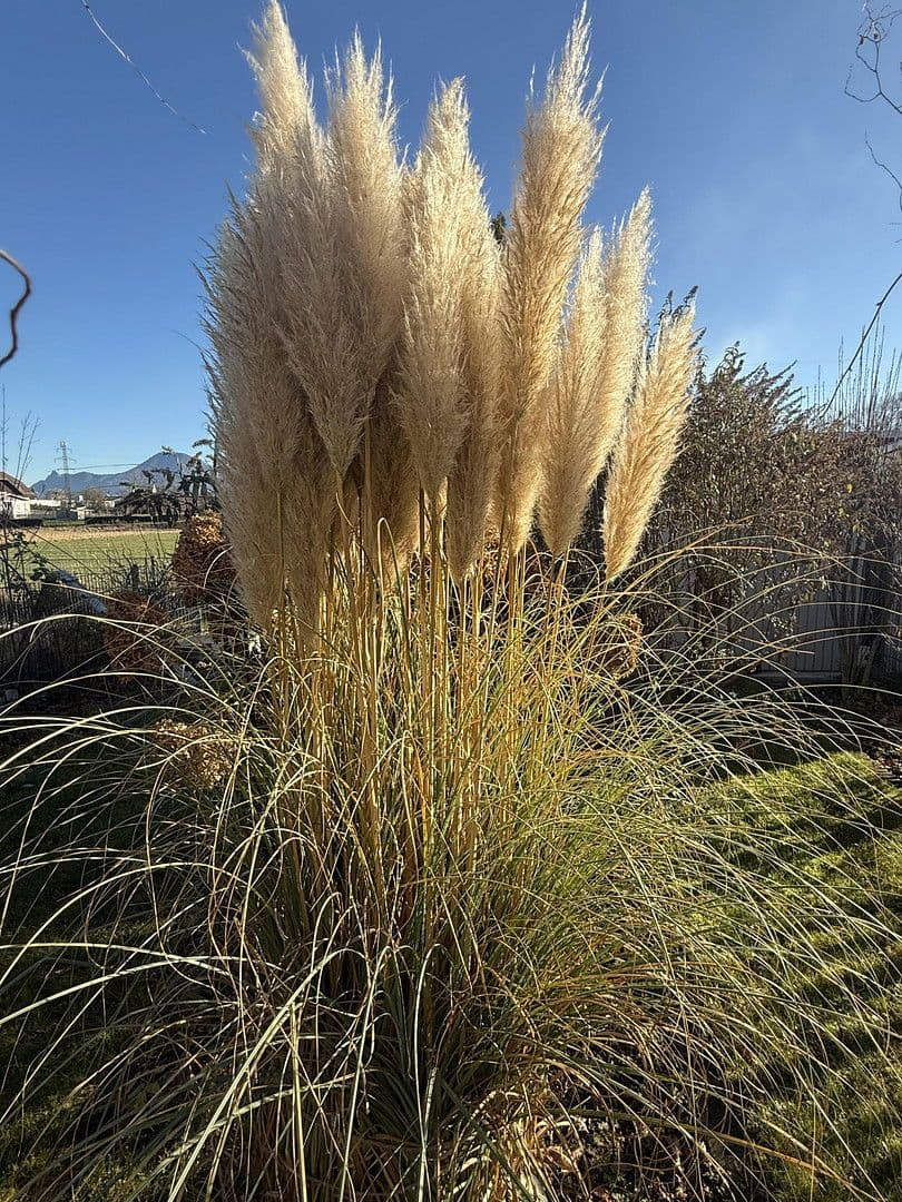 Prenájom bytu 2-izbový 52 m², Salzburg/Liefering, Salzbursko Prenájom bytu 2-izbový 52 m², Salzburg/Liefering, Salzbursko
